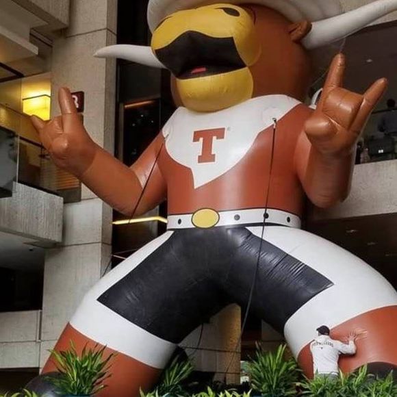 Meet your Posher, Samuari - Picture 1 of 1